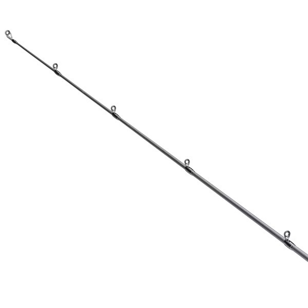 25  SALTY ADVANCE エギング